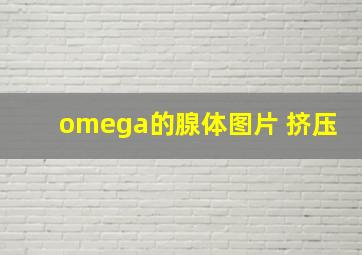 omega的腺体图片 挤压